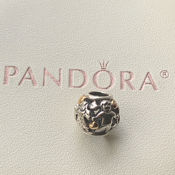 charm family pandora charm family pandora